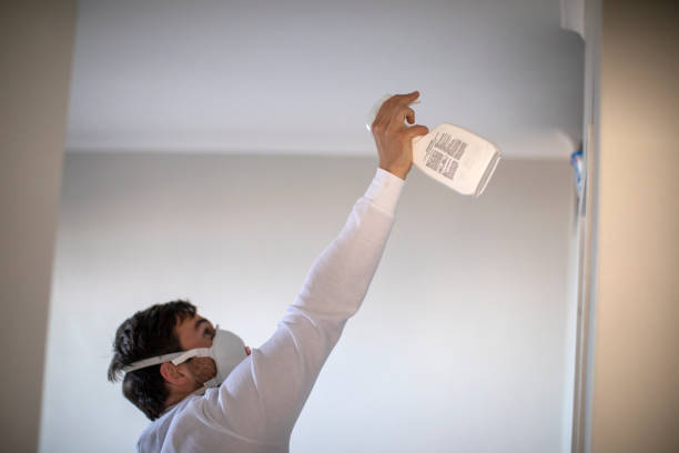 Best Black Mold Removal  in East Pepperell, MA