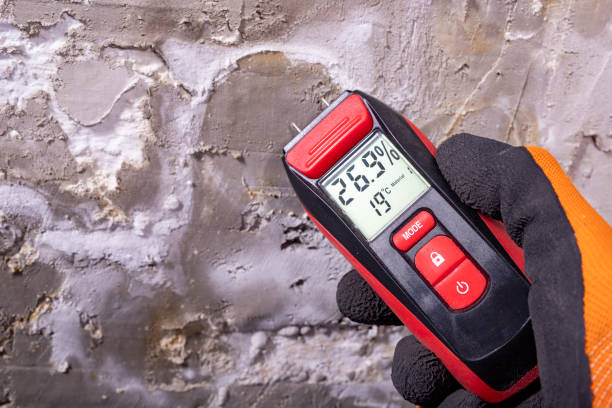 Best Mold Remediation  in East Pepperell, MA