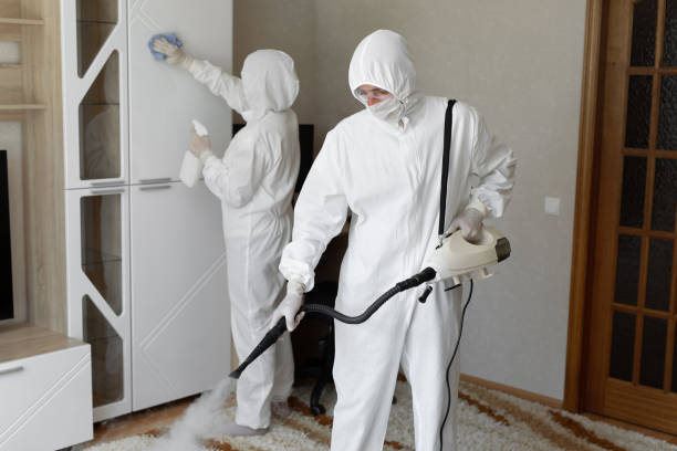 Best Toxic Mold Removal  in East Pepperell, MA