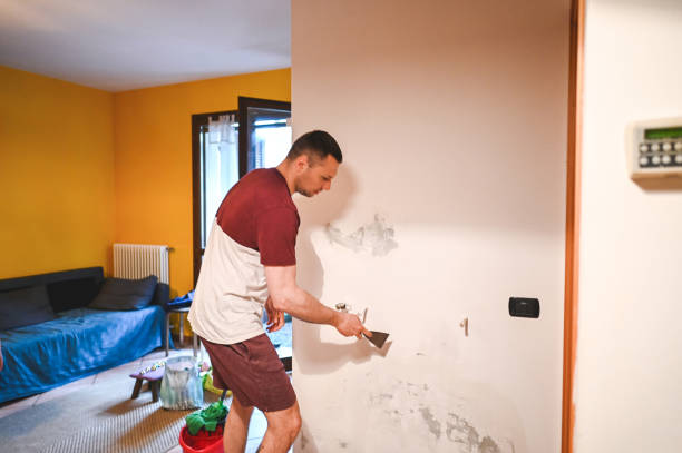 Best Mold Testing  in East Pepperell, MA